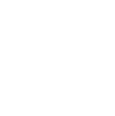 Brush border